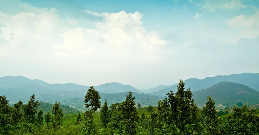 Odisha Tour (13 Nights / 14 Days)