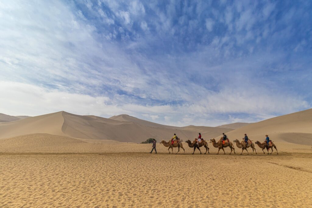 Rajasthan Tour (23 Nights / 24 Days)