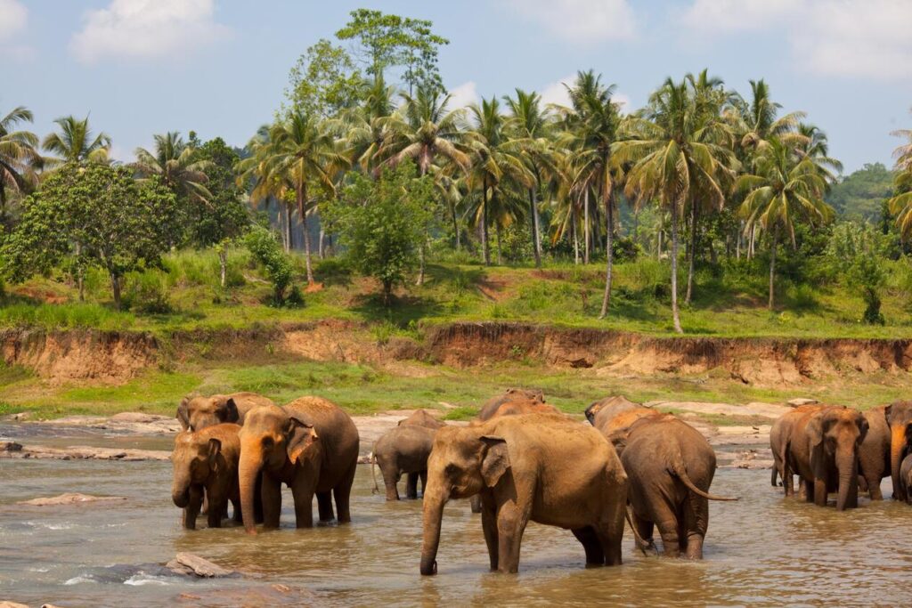 TAMIL NADU WITH KERALA (13 NIGHTS / 14 DAYS)