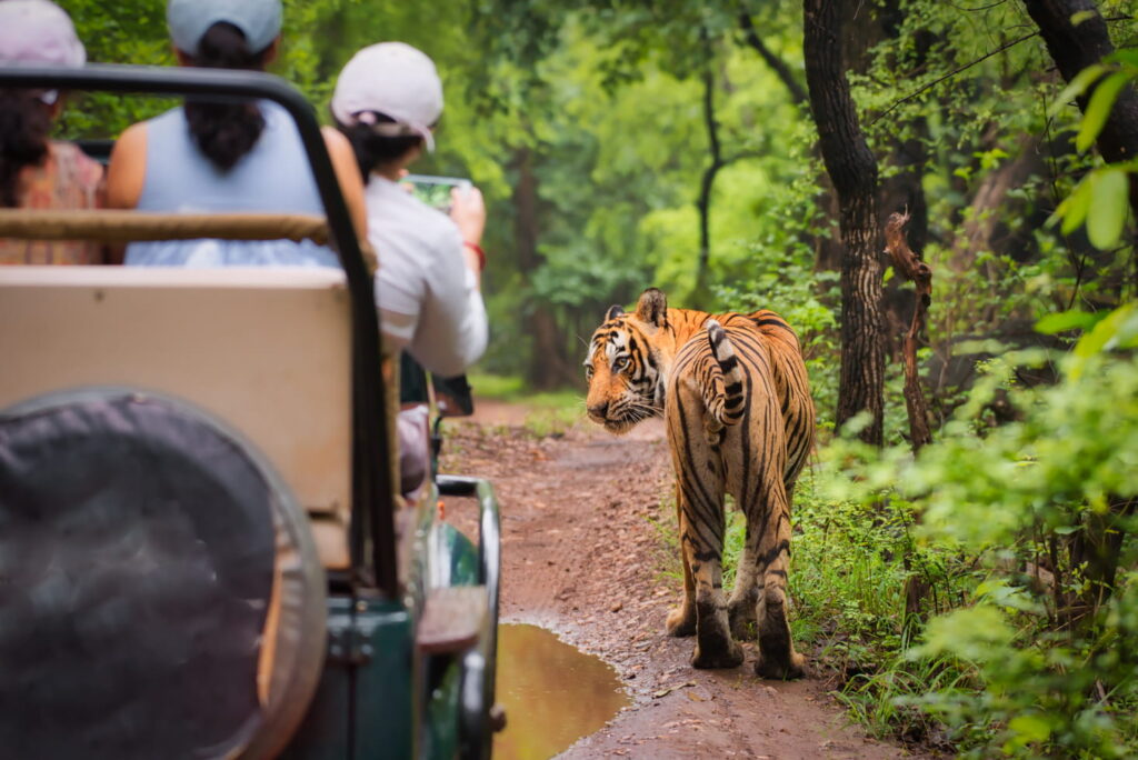 Ranthambore Extension Tour